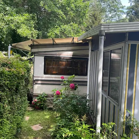 キャンプ場 Camping Loosteich *